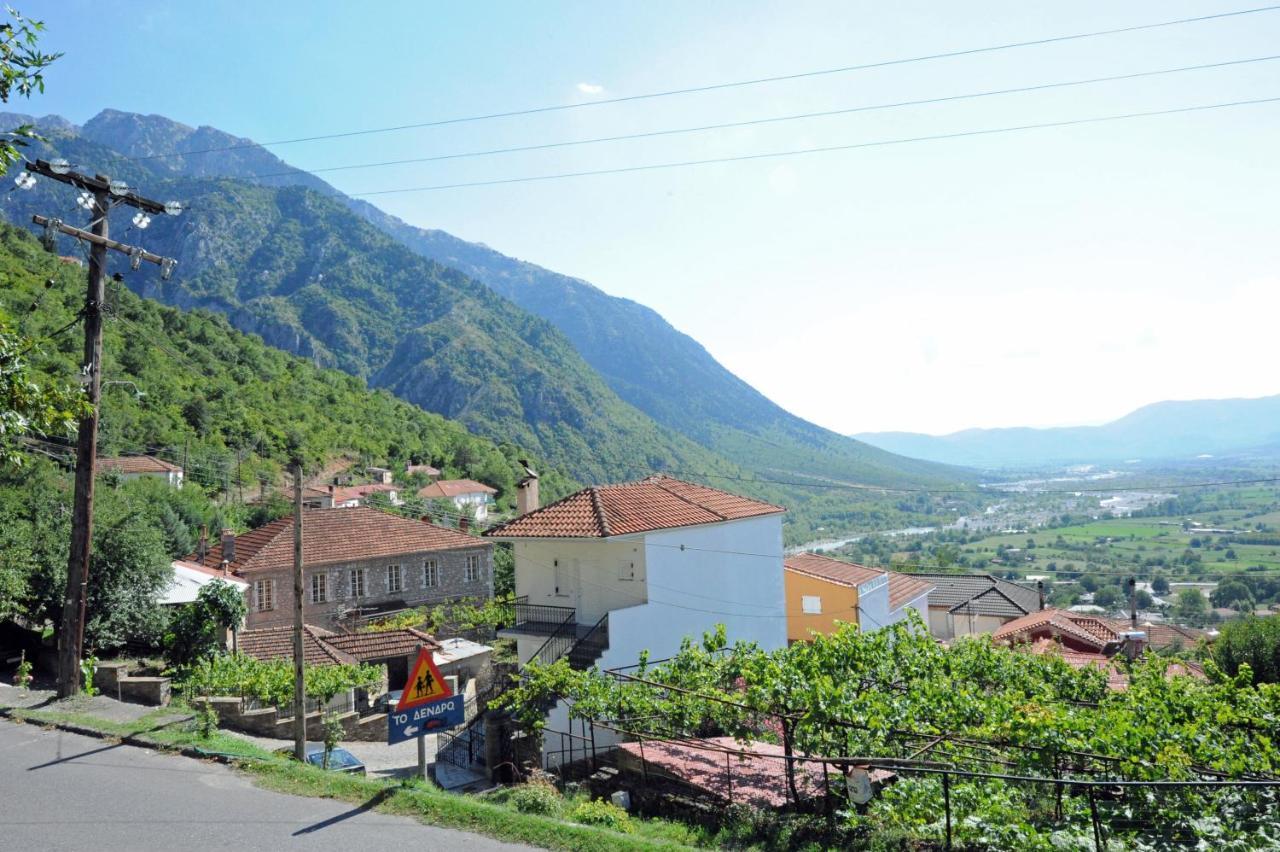 Grand Hotel Dentro Konitsa Exterior photo